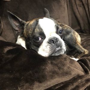 Meet your Posher, Amy